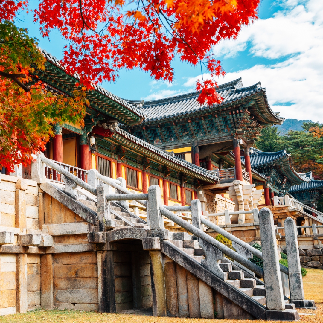 Coreia ao Seu Alcance